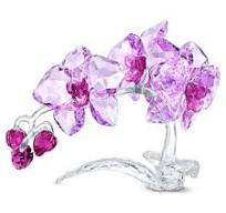 CRYSTAL FLOWERS:ORCHID1