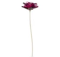 GARDEN TALES:ROSE