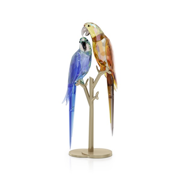 JUNGLE BEATS:PARROT COUPLE
