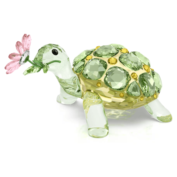 IDYLLIA:TORTOISE AND DAISY