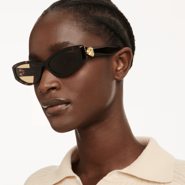 LUCENT:EYEWEAR SK6045 CAT BRO/CRY GSHA